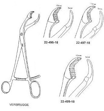 Verbrugge Bone Holding Forcep
